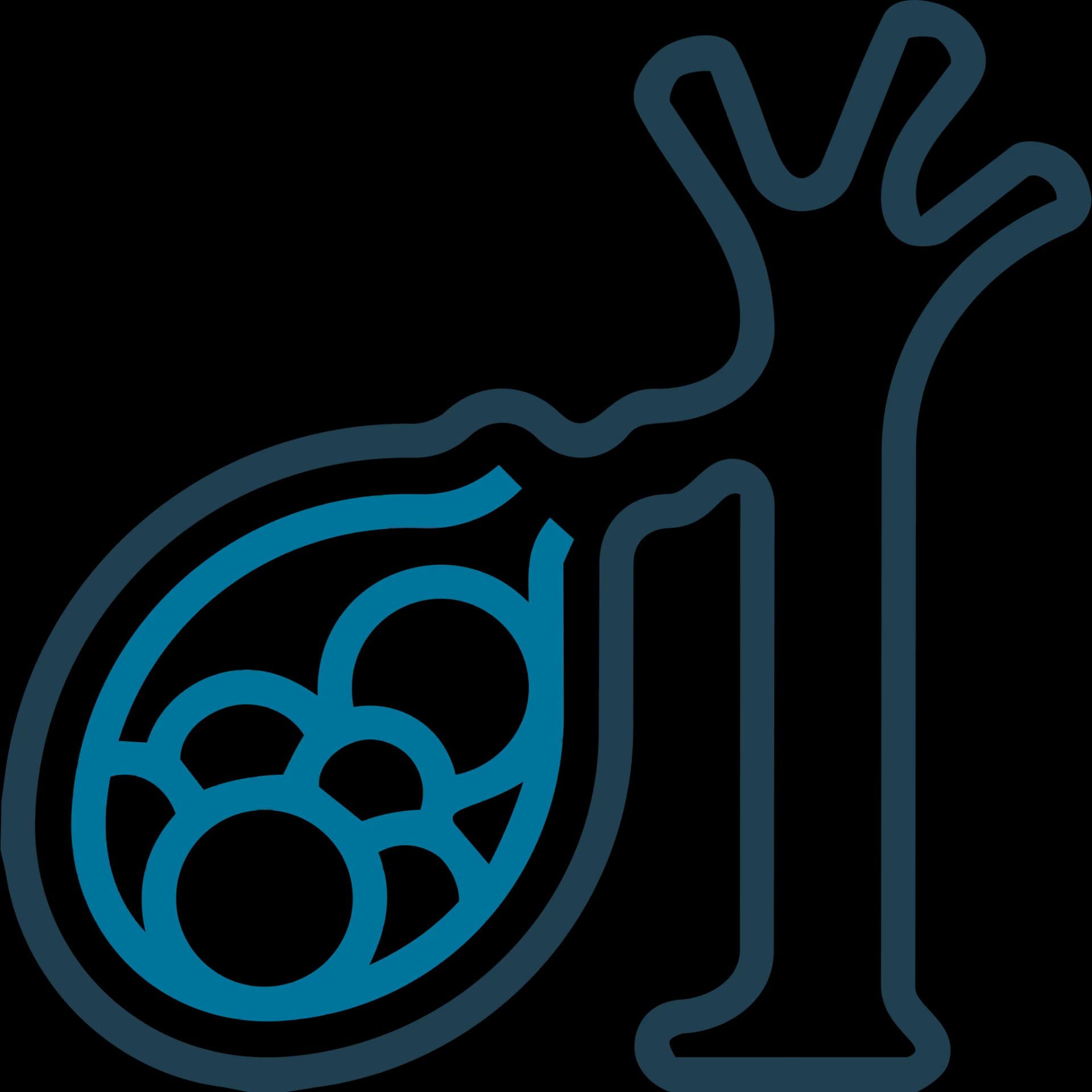 Ilustración de Cirugía de vesícula — Healthcare by the Sea, Puerto Vallarta