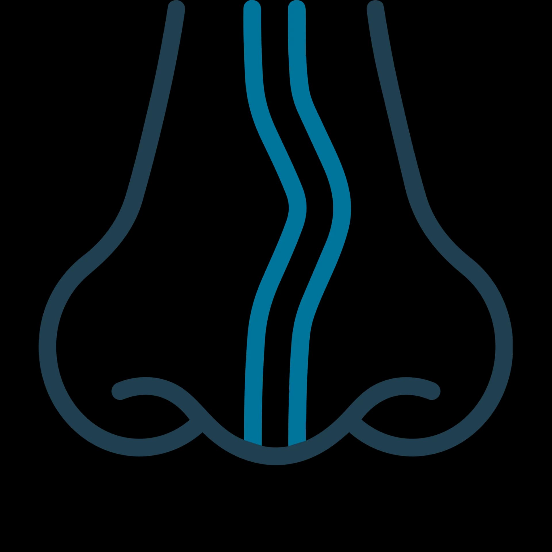 Ilustración de Septoplastia — Healthcare by the Sea, Puerto Vallarta